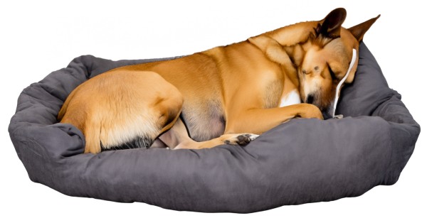 Großes graues Hundekissen passend für Hundebett Balu Maße 90x57x20